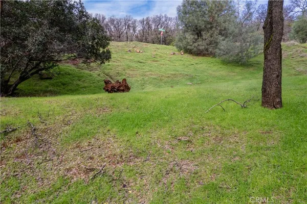 a view of backyard with green space