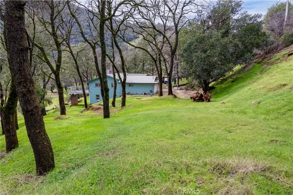 a view of yard with trees