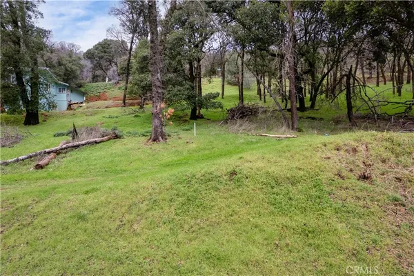 a view of backyard with green space
