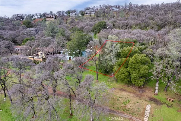 an aerial view of greenery