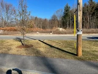 a view of a yard with wooden fence