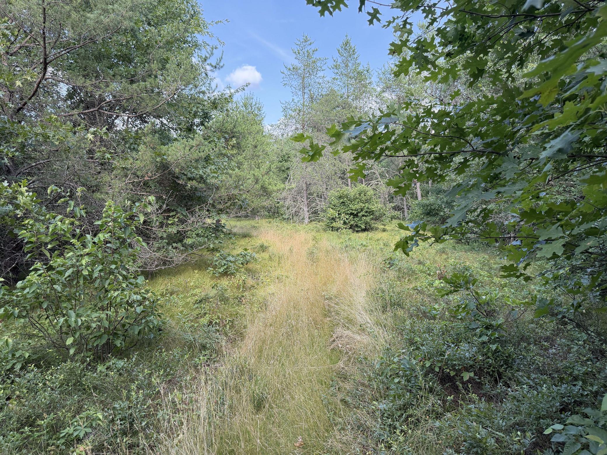 S13160 Camp Road Fairchild, WI 54741 - Photo 12 of 32 Gallery Image 12