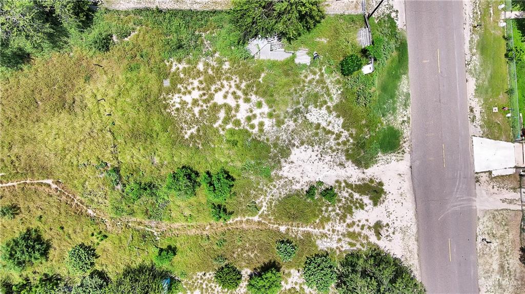 150 Guadalupe Flores Road Sullivan City, TX 78595 - Photo 3 of 4 a close up of a plant