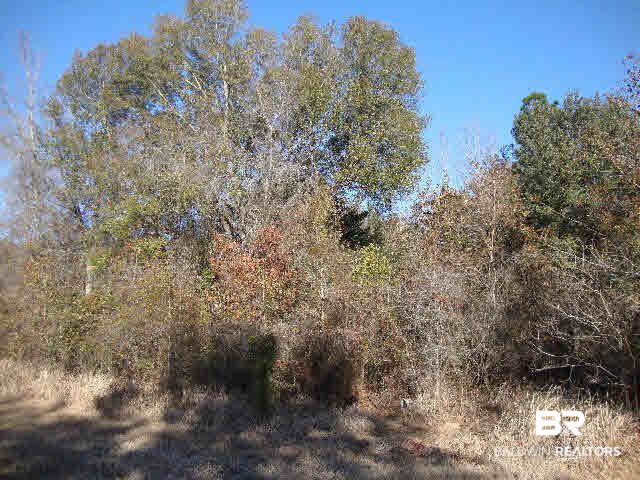 0 Fox Branch Road Loxley, AL 36551 - Photo 3 of 14
