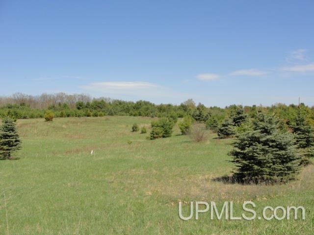 T-wi Youngs Lake Road Dunbar, WI 54119 - Photo 5 of 5