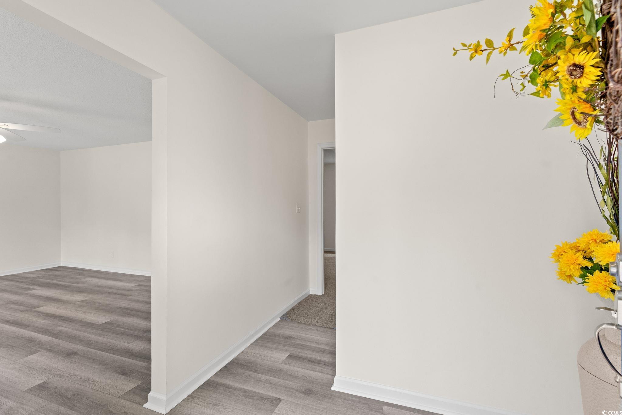 83 Pond Street Georgetown, SC 29440 - Photo 3 of 36