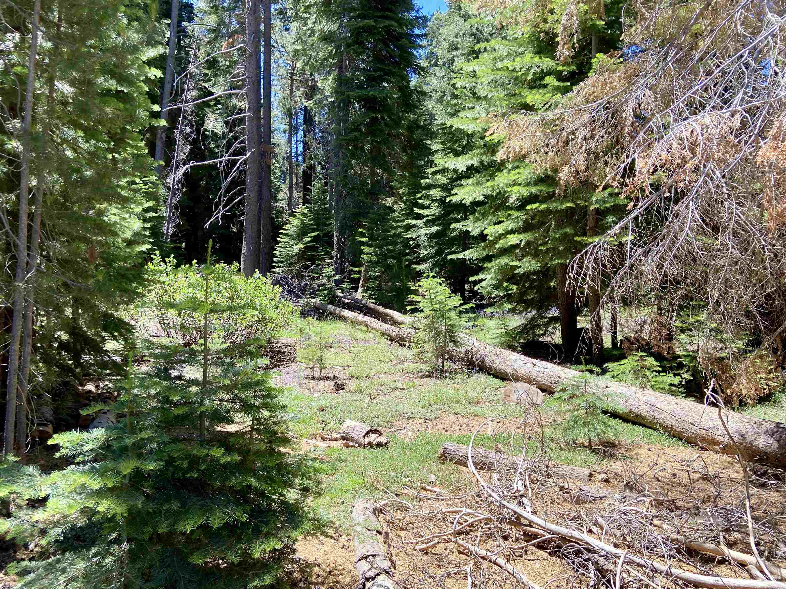 10765 Heather Road Truckee, CA 96161 - Photo 16 of 21 Gallery Image 16