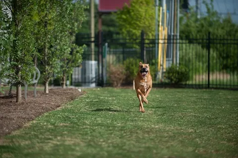 $849,900 | 1212 Laurel Street, Unit 1713 (B6), Nashville, TN 37203