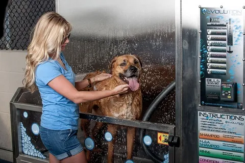 $849,900 | 1212 Laurel Street, Unit 1713 (B6), Nashville, TN 37203