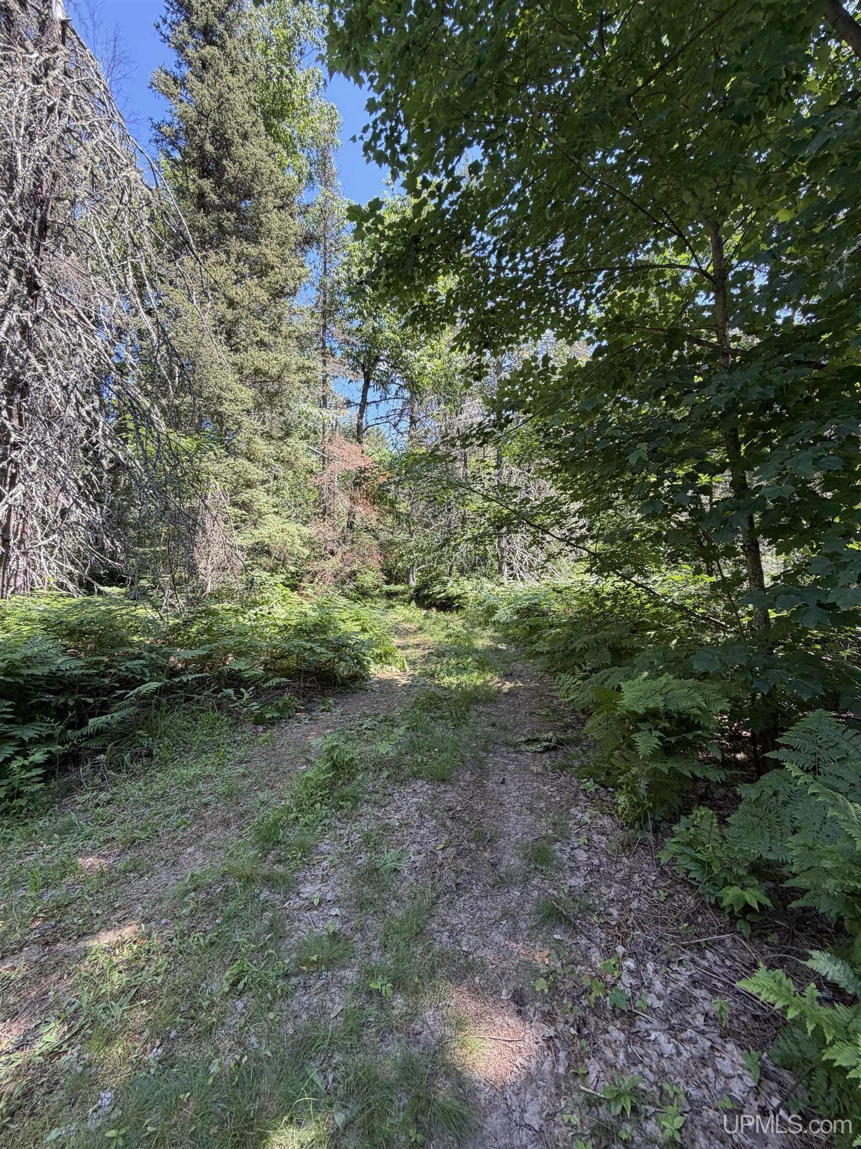 Tbd Red Road Negaunee, MI 49866 - Photo 9 of 29