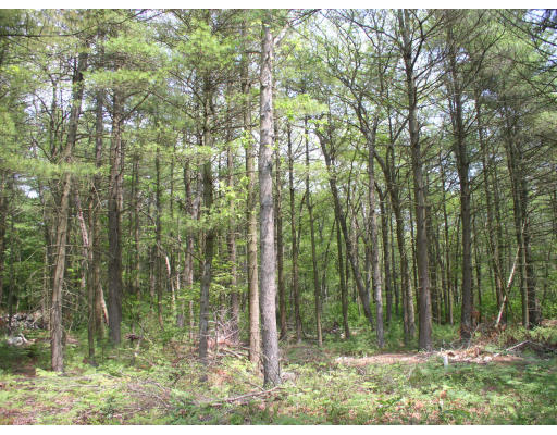 Lot 4 Bell Rock Road Assonet, MA 02702 - Photo 1 of 1 Gallery Image 1