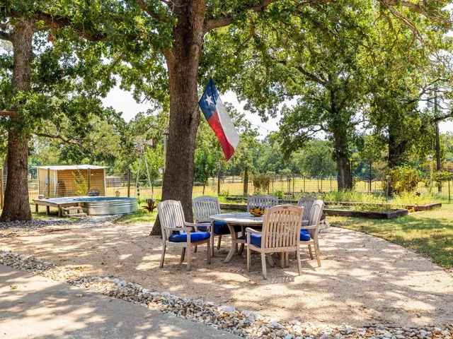 a view of a yard with a tree