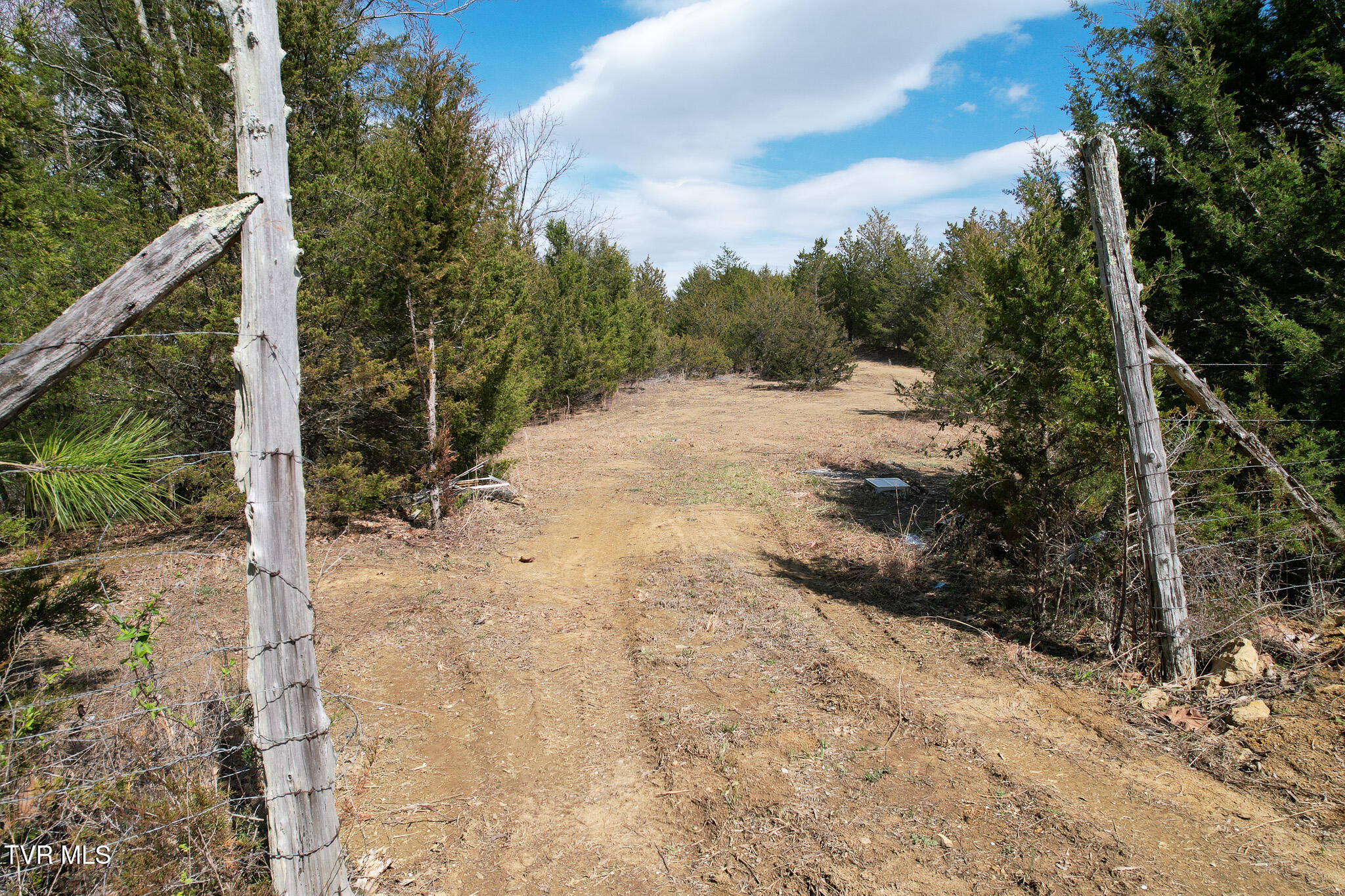 480 Obe Kirk Loop Mohawk, TN 37810 - Photo 34 of 60 DJI_0227