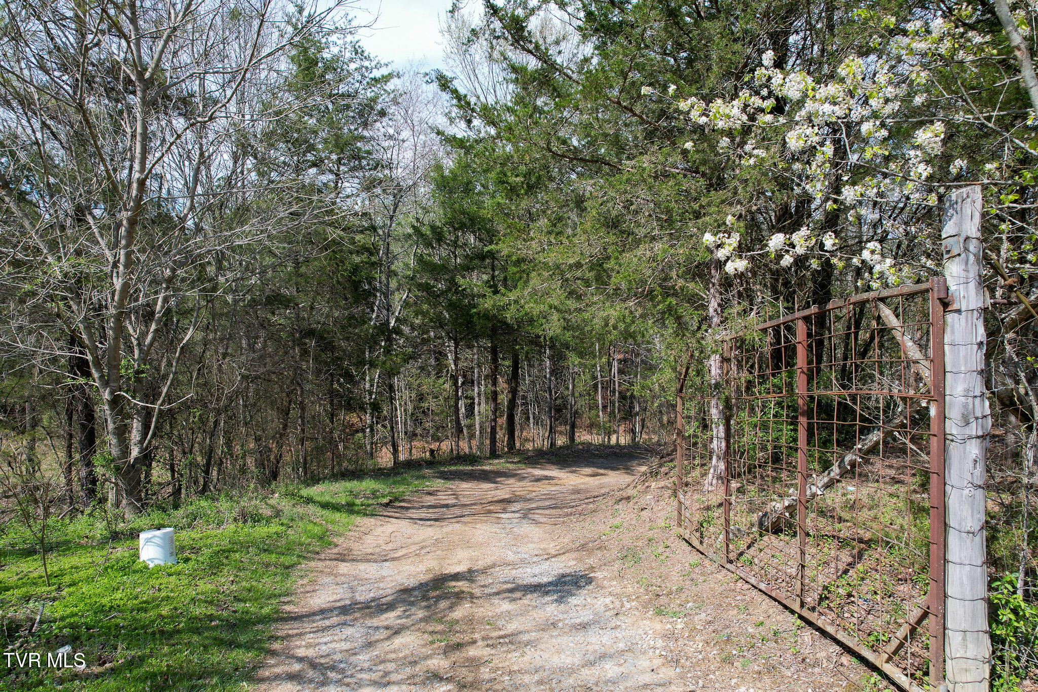 480 Obe Kirk Loop Mohawk, TN 37810 - Photo 36 of 60 DJI_0225