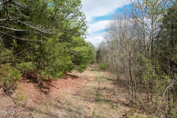 $529,000 | 480 Obe Kirk Loop, Mohawk, TN 37810