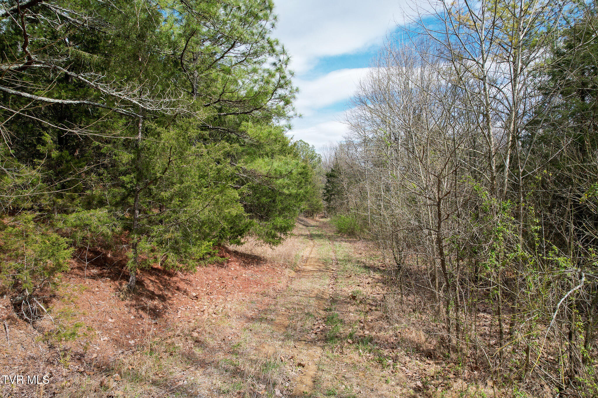 480 Obe Kirk Loop Mohawk, TN 37810 - Photo 42 of 60 DJI_0216