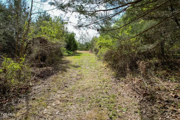 $529,000 | 480 Obe Kirk Loop, Mohawk, TN 37810