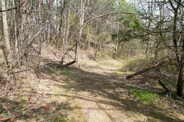 $529,000 | 480 Obe Kirk Loop, Mohawk, TN 37810