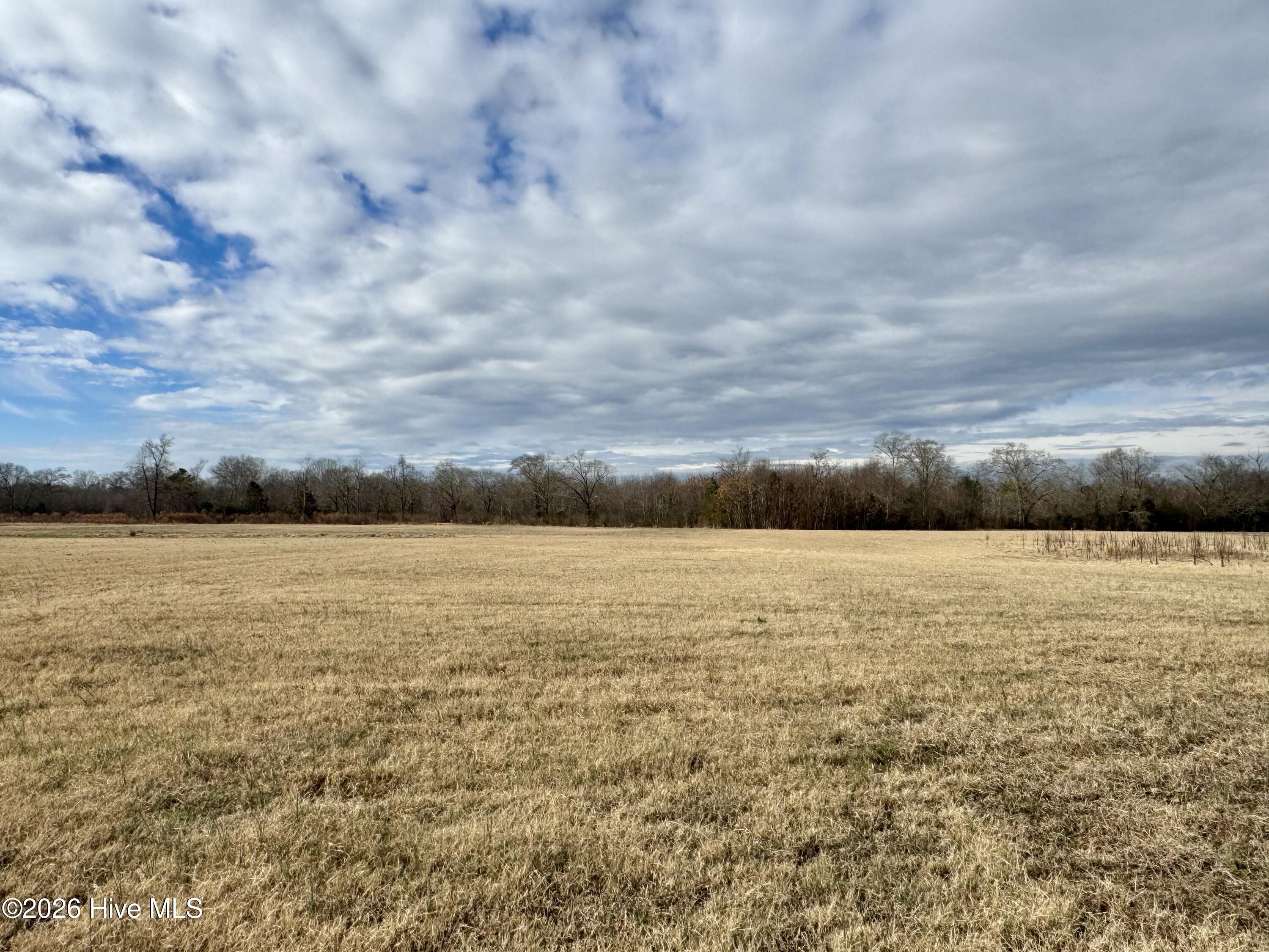 4377 McGirt Road Maxton, NC 28364 - Photo 5 of 18 View Of Back Yard