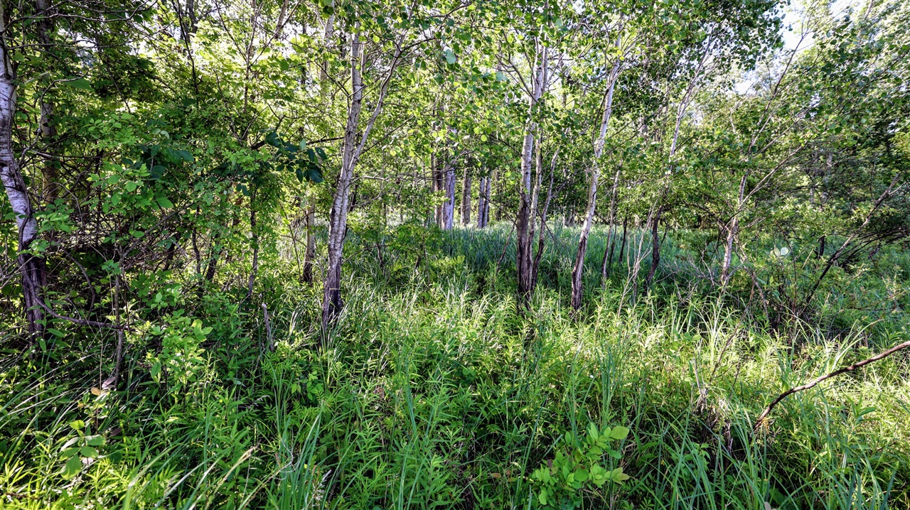 29 29 Mile Road Battle Creek, MI 49014 - Photo 4 of 48