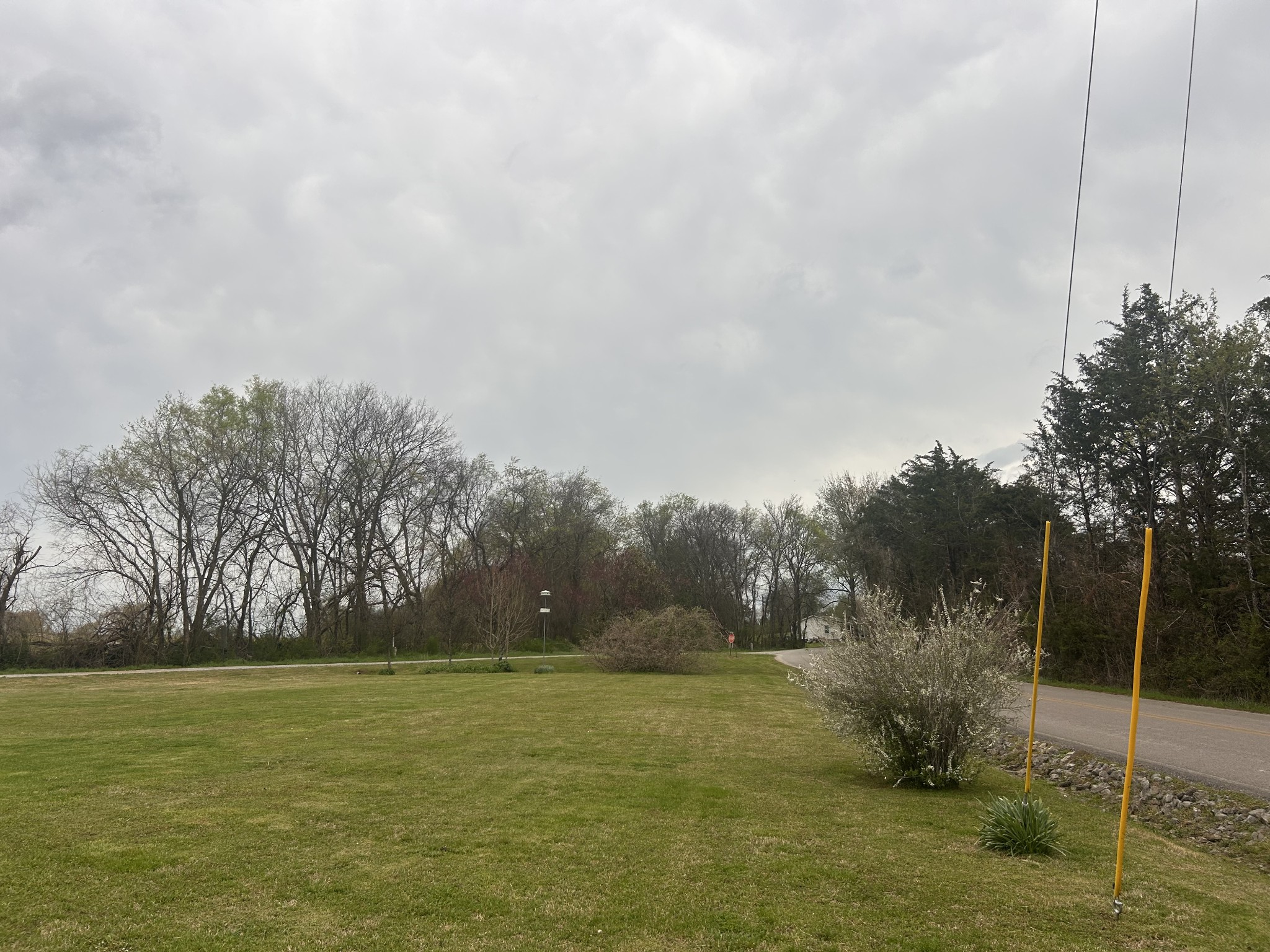 2200 Crescentview Road Pulaski, TN 38478 - Photo 62 of 72 a view of a yard