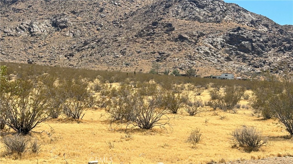 30455 Holmes Road Lucerne Valley, CA 92356 - Photo 7 of 11