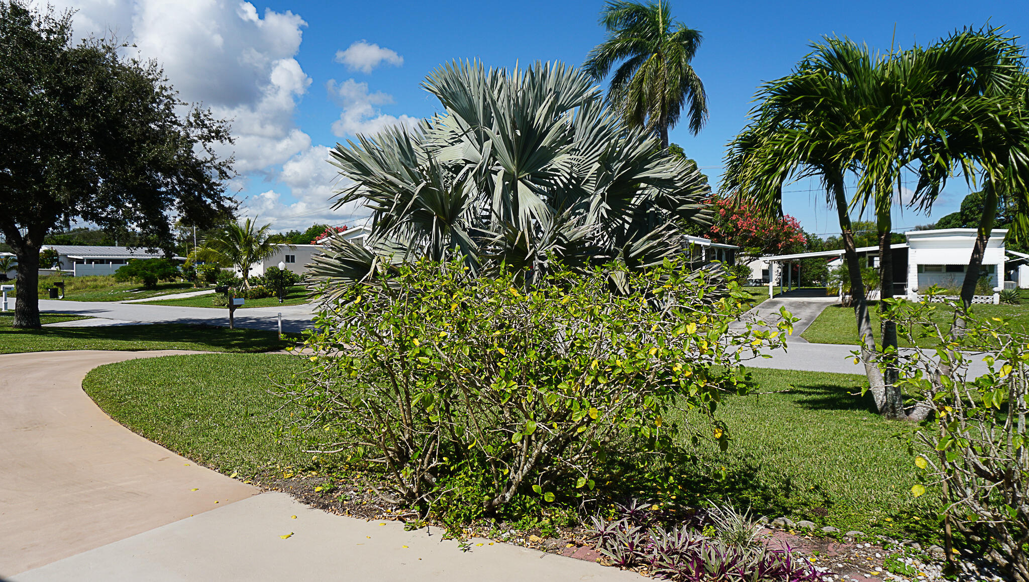 7030 Southeast Ridgeway Terrace Hobe Sound, FL 33455 - Photo 10 of 50 DSC00265