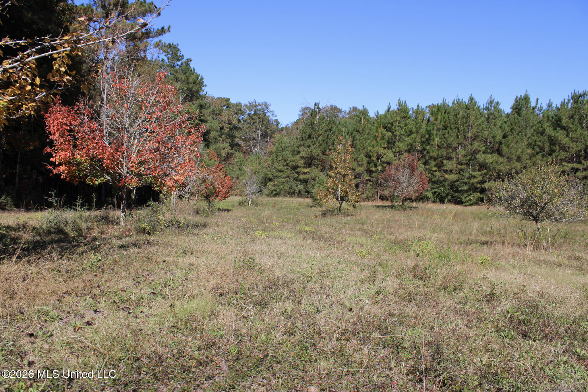 2108 Joel Lang Road McComb, MS 39648 - Photo 85 of 87 80-IMG_0553