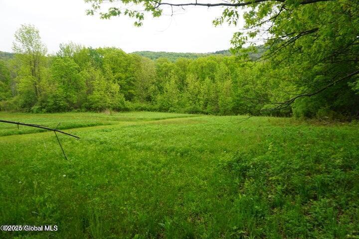 L26 West Fulton Road Warnerville, NY 12187 - Photo 13 of 15 W Fulton image 7