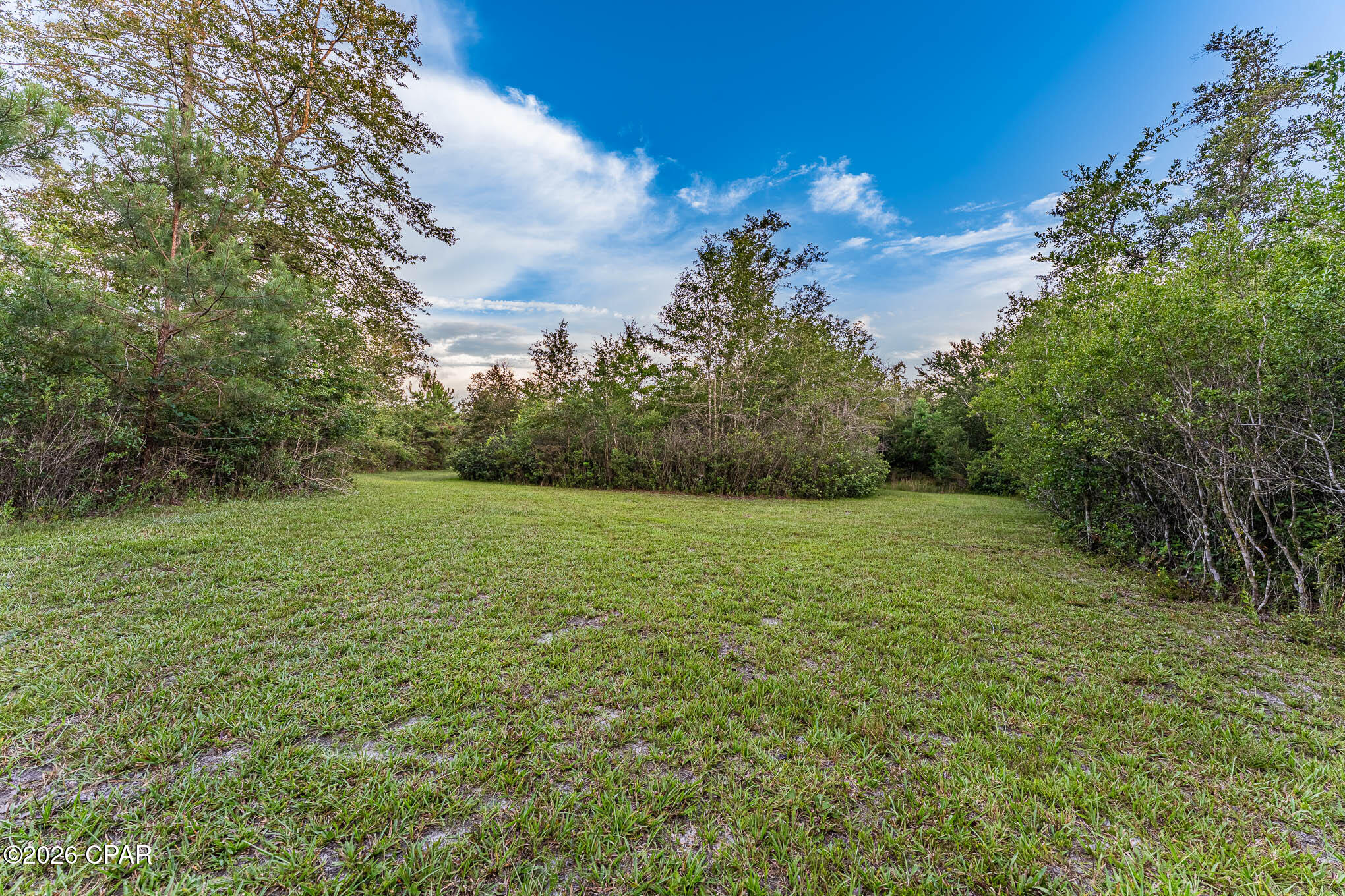 90 Highway 90 Grand Ridge, FL 32442 - Photo 23 of 40
