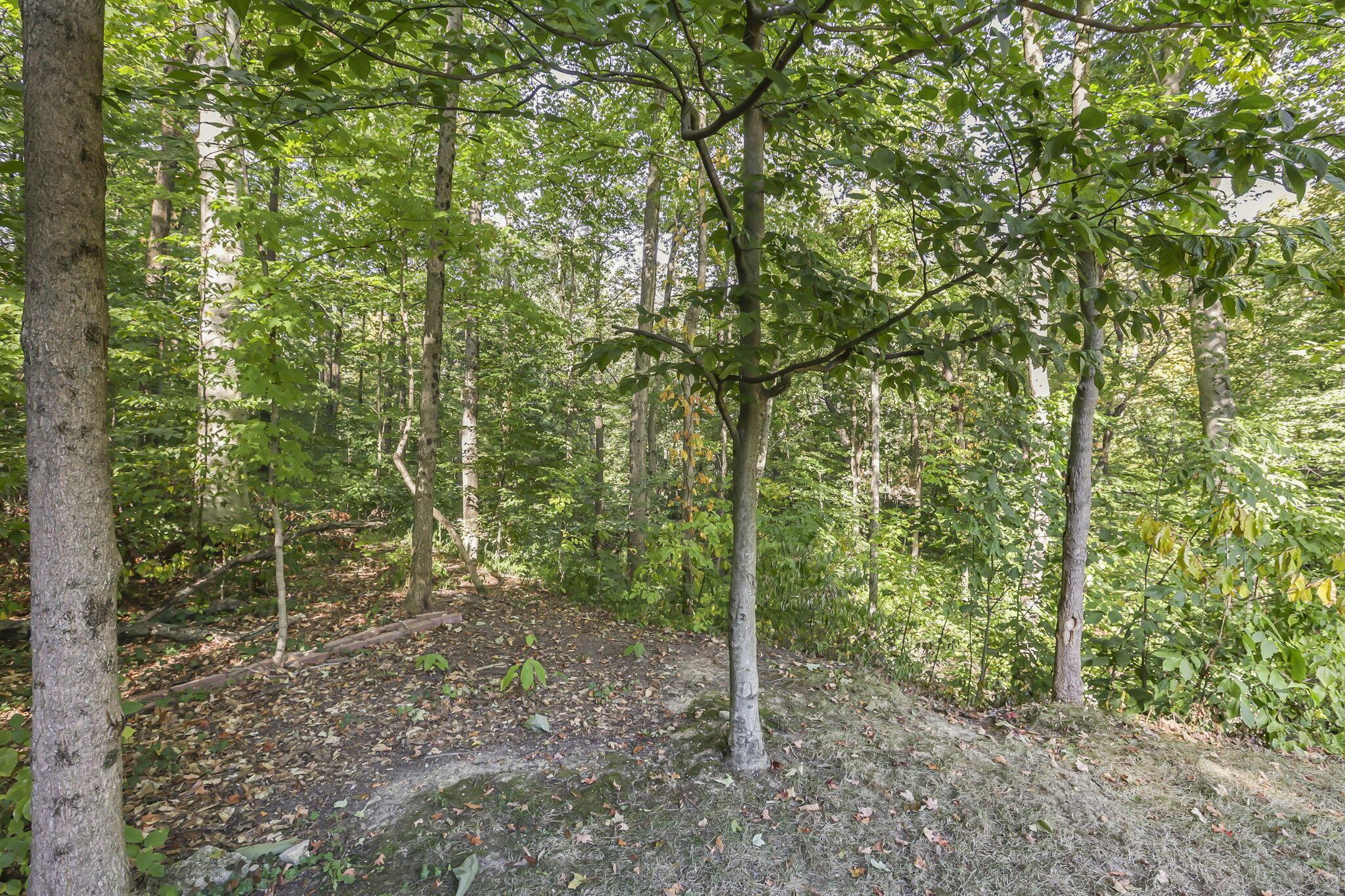 845 Clotts Road Columbus, OH 43230 - Photo 61 of 69 56-web-or-mls-0V3A6438