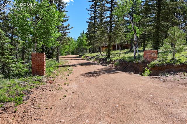 337 Porphry Road Florissant, CO 80816 - Photo 2 of 26 View of street