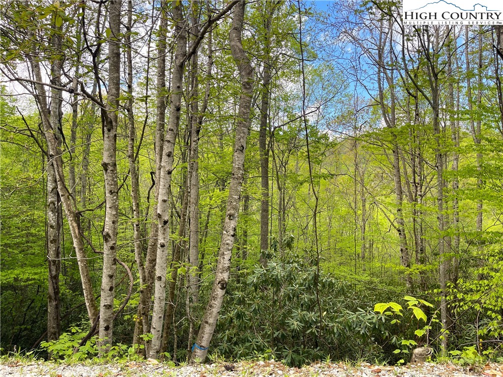 117 Deergrass Road Beech Mountain, NC 28604 - Photo 1 of 3