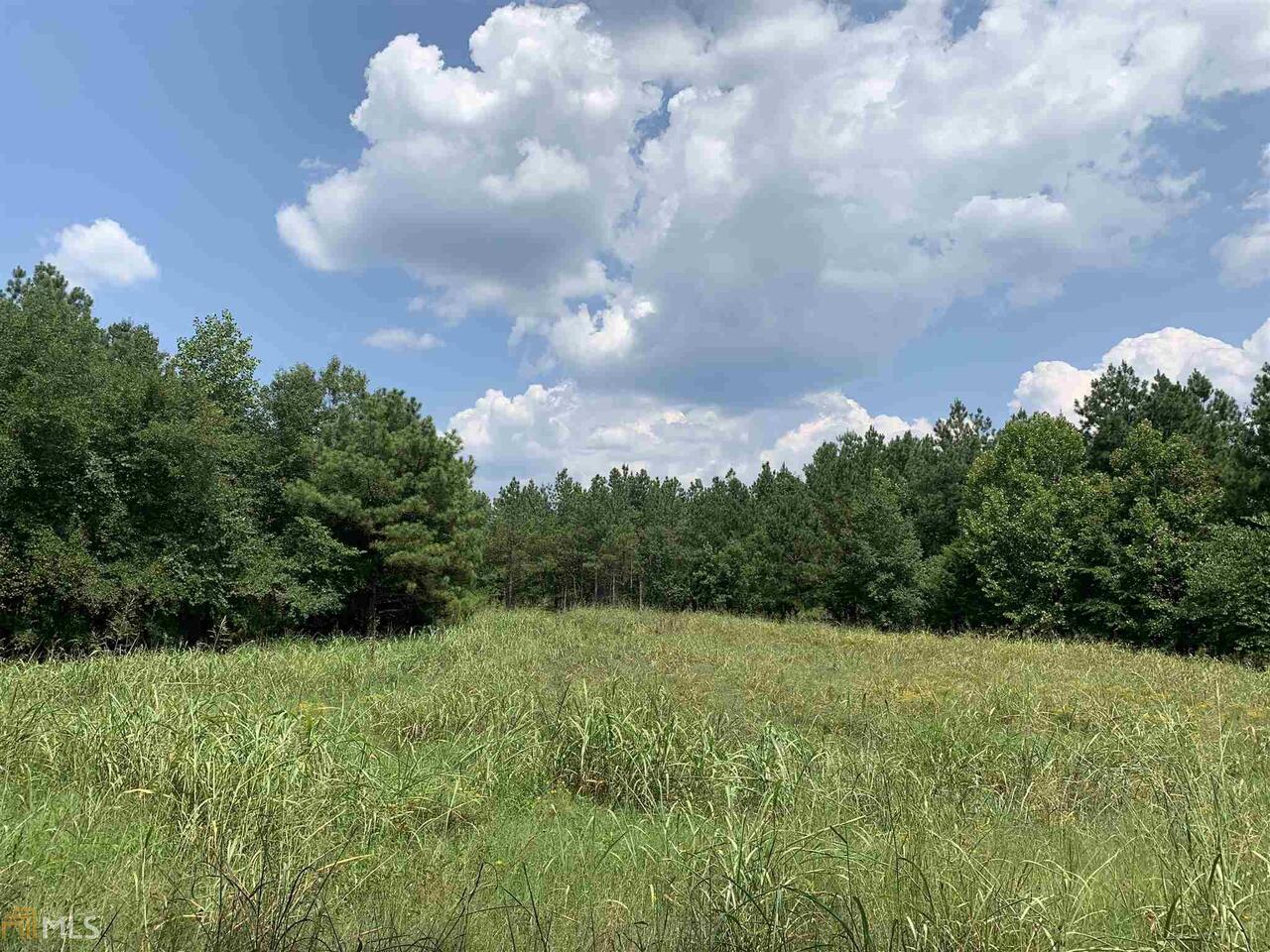0 Sandy Cross Road Carlton, GA 30627 - Photo 1 of 1