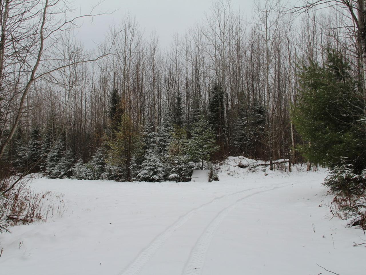 On Lake Of The Falls Road, Unit 120 ACRES Mercer, WI 54547 - Photo 12 of 15 Gallery Image 12