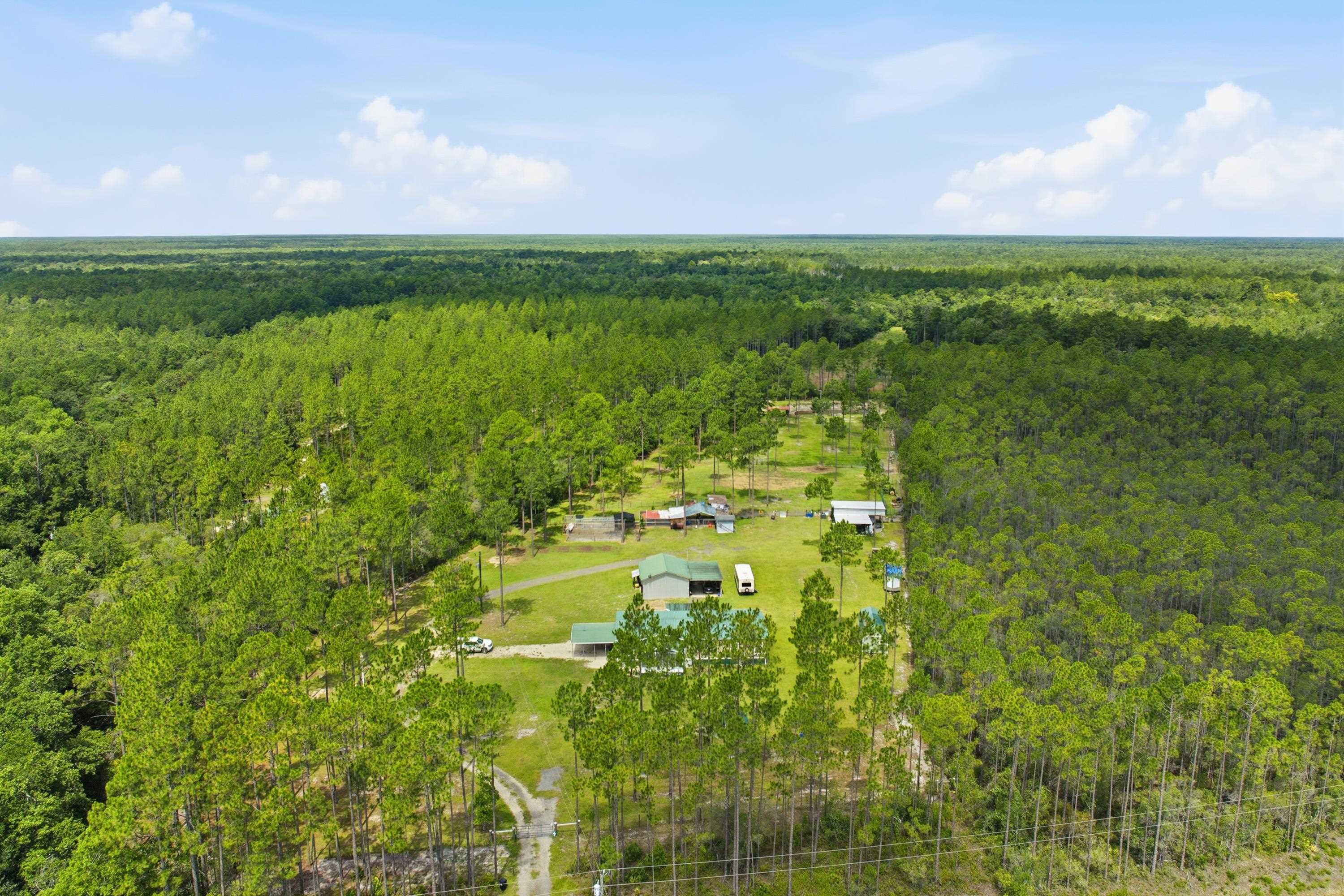 2860 Smith Creek Road Sopchoppy, FL 32358 - Photo 70 of 70
