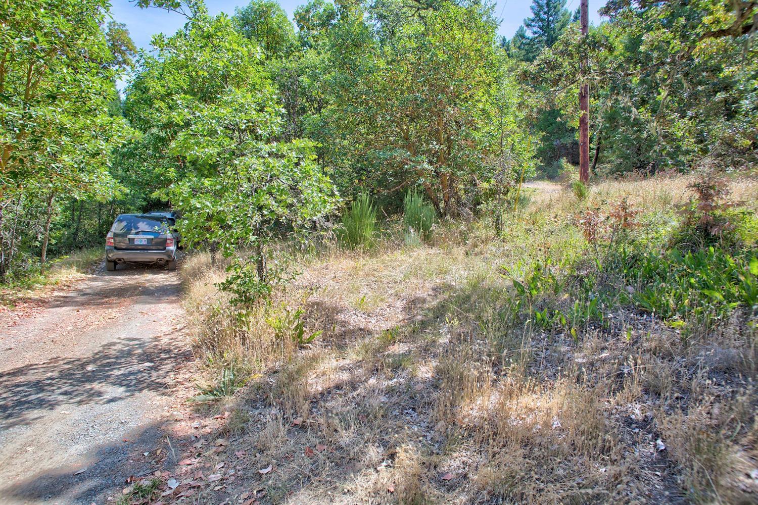603 Terrace Heights Road Selma, OR 97538 - Photo 4 of 8 Additional Photo