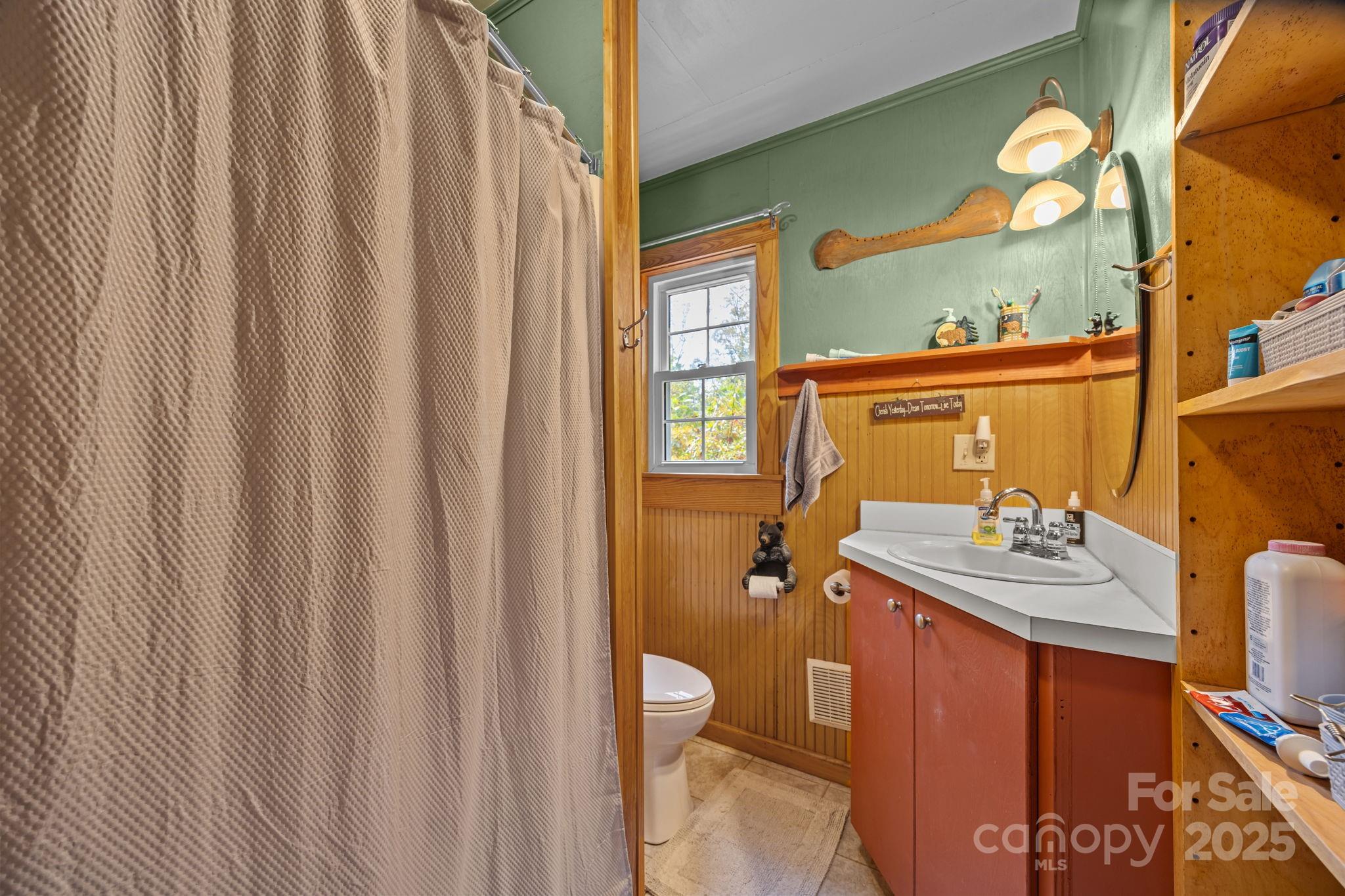 38 Buzzards Rst Trail, Unit 7 Saluda, NC 28773 - Photo 32 of 47 a bathroom with a sink a toilet and shower curtain