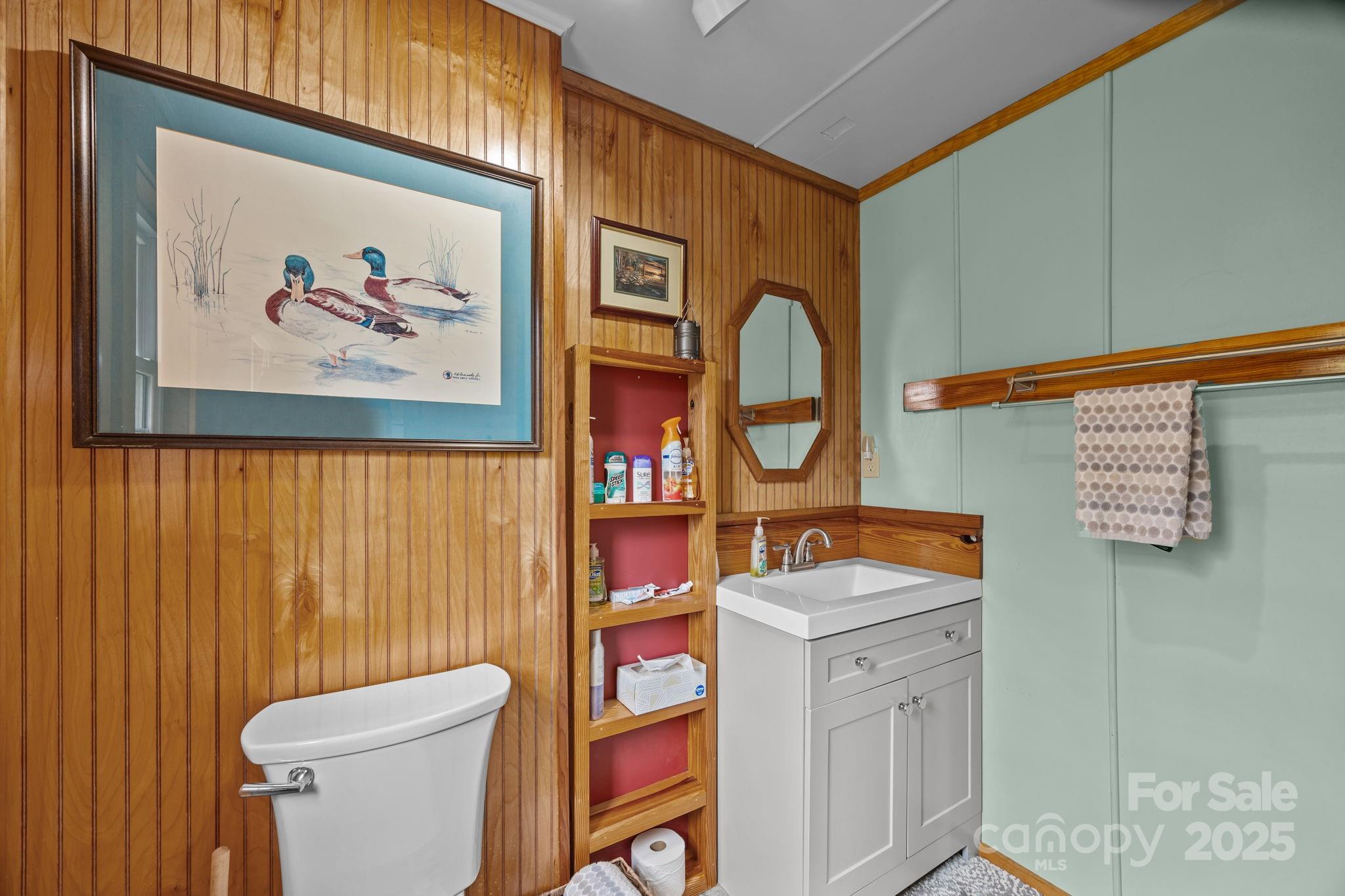 38 Buzzards Rst Trail, Unit 7 Saluda, NC 28773 - Photo 39 of 47 a bathroom with a toilet a sink and a mirror