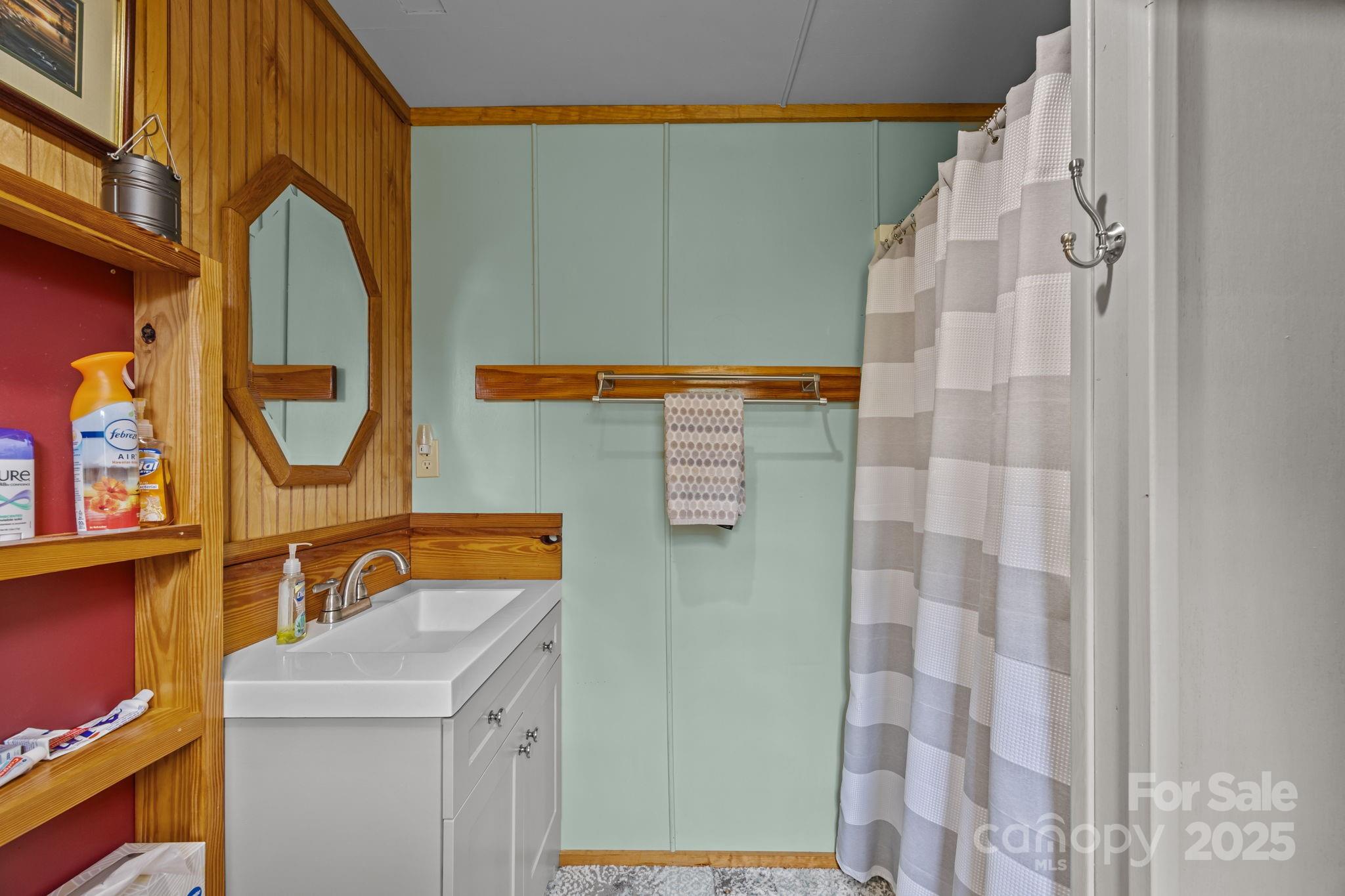 38 Buzzards Rst Trail, Unit 7 Saluda, NC 28773 - Photo 40 of 47 a bathroom with a sink and a mirror