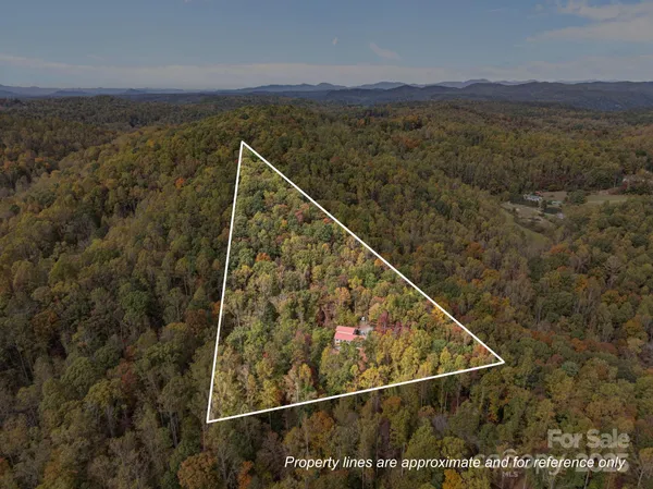 $385,000 | 38 Buzzards Rst Trail, Unit 7, Saluda, NC 28773