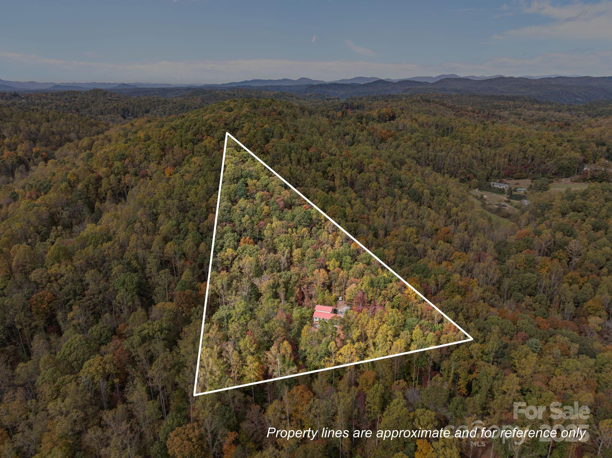 38 Buzzards Rst Trail, Unit 7 Saluda, NC 28773 - Photo 47 of 47 a view of a balcony