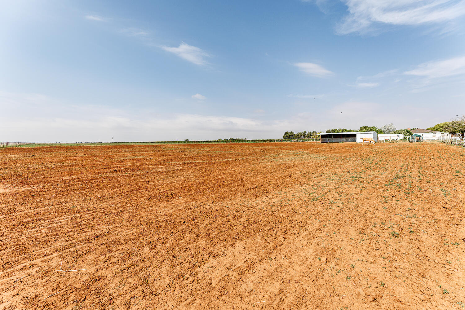 10025 Woodrow Road Ropesville, TX 79358 - Photo 62 of 78 Pasture