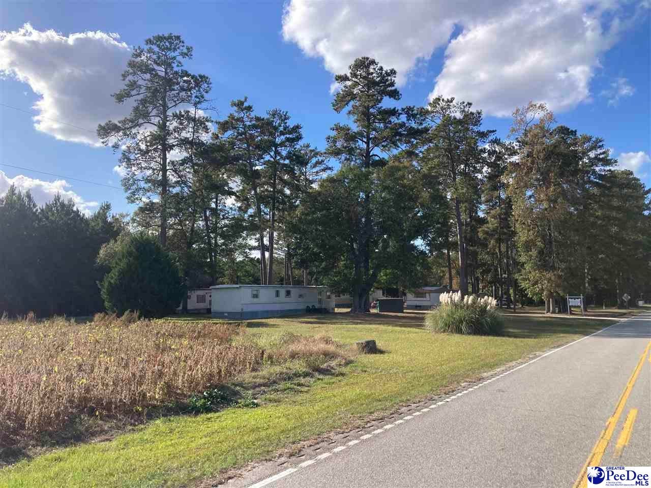 Old Hamer Road Hamer, SC 29547 - Photo 4 of 11 Gallery Image 4