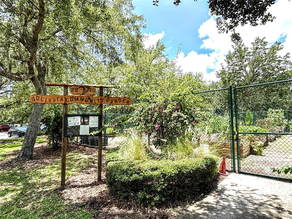 121 Rialto Road Poinciana, FL 34759 - Photo 59 of 68 a view of a yard with plants and large trees