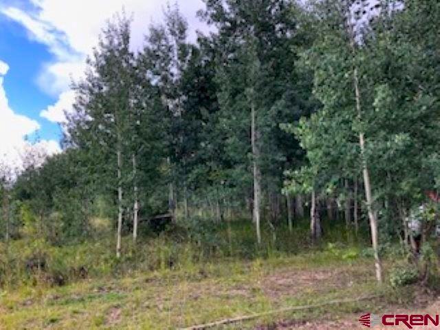 Tbd Forest Service Road 611 Road Placerville, CO 81430 - Photo 12 of 20 a view of a forest