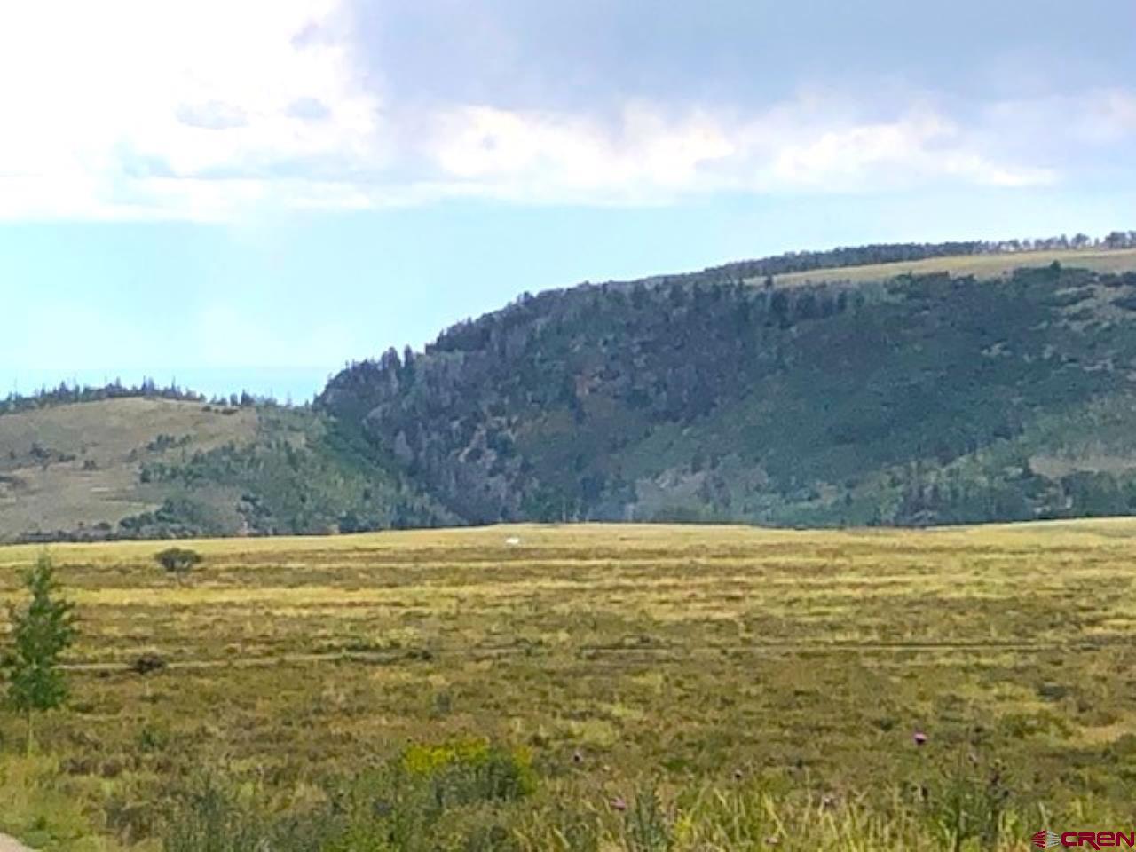 Tbd Forest Service Road 611 Road Placerville, CO 81430 - Photo 14 of 20 a view of an ocean