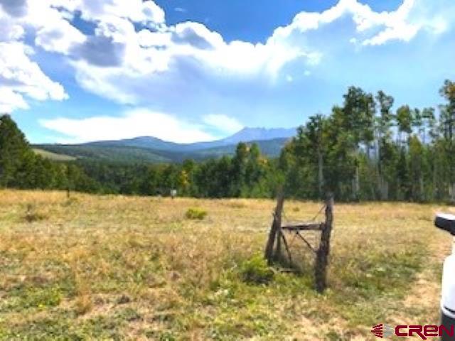 Tbd Forest Service Road 611 Road Placerville, CO 81430 - Photo 15 of 20 a view of an lake and a yard