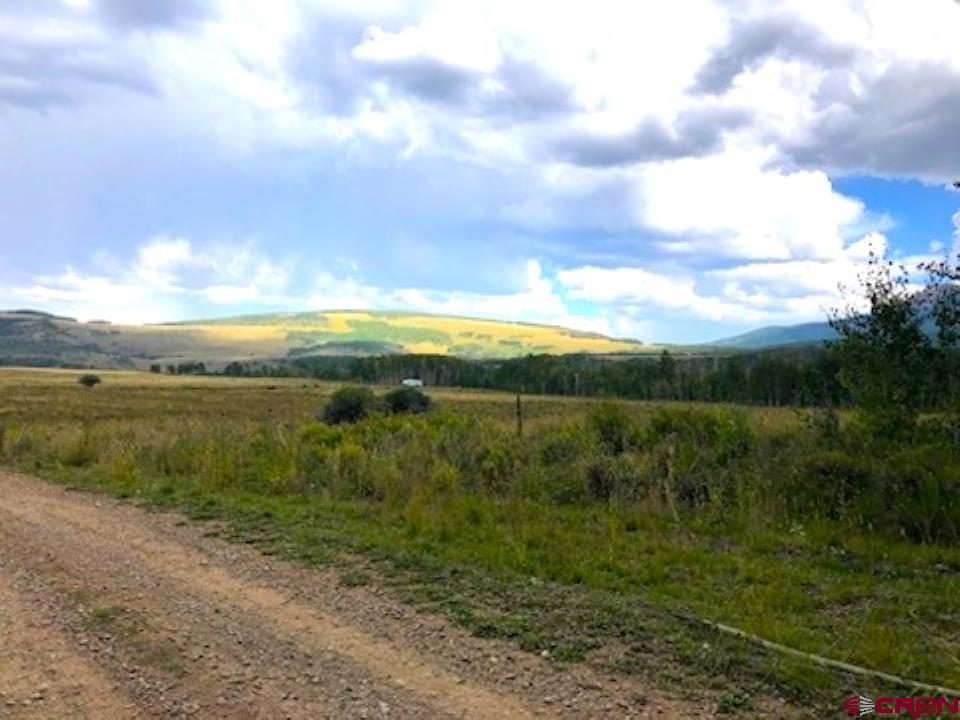 Tbd Forest Service Road 611 Road Placerville, CO 81430 - Photo 17 of 20 a view of a lake from a yard