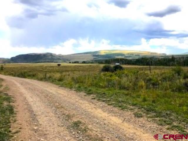 Tbd Forest Service Road 611 Road Placerville, CO 81430 - Photo 18 of 20 a view of an ocean and a beach